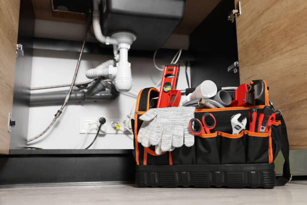 Best Emergency Plumber  in Heritage Pines, FL
