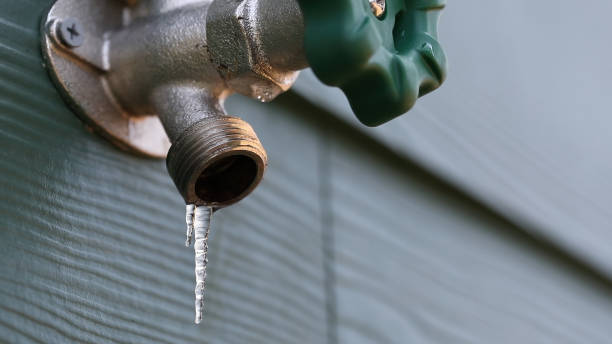 Best Affordable Plumber Near Me  in Heritage Pines, FL